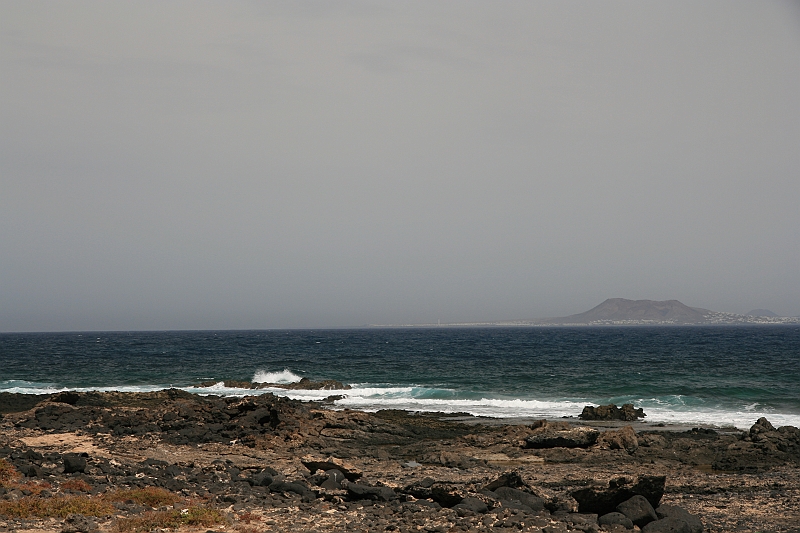 Kanary_2010 106